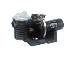 Aladdin GO-KIT38V - Premium Salt Water Repair Seal Kit - Starite Dura-Glas II / Maxi-Glas II P4E / P4EA Pool Pumps