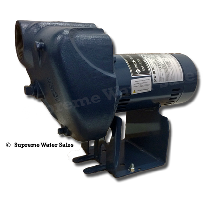 StaRite DS3HE-01 - DS3 Series Pro-Storm Centrifugal Pump - 1.0 HP
