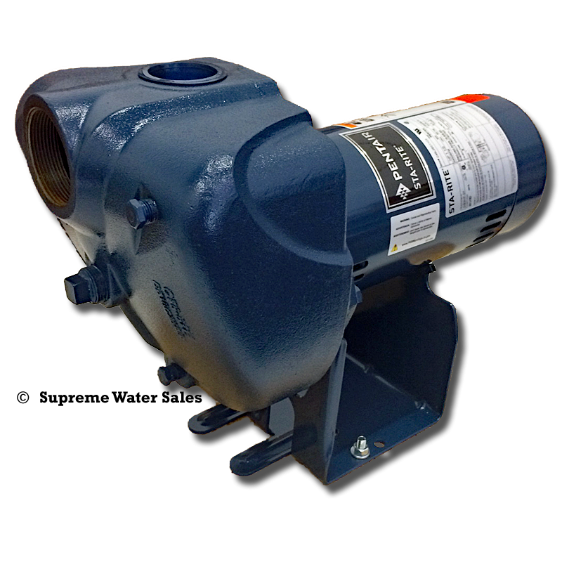 StaRite DS3HG-01 - DS3 Series Pro-Storm Centrifugal Pump - 2.0 HP