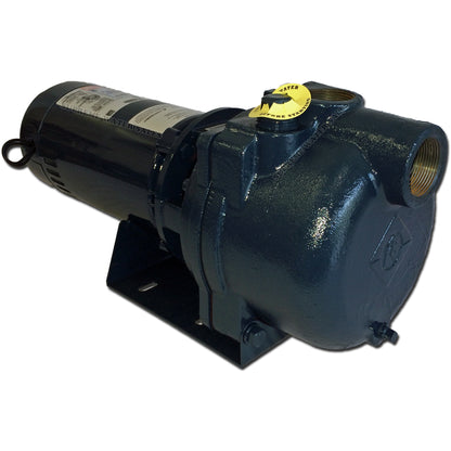 Franklin Electric FTB15CI Turf Boss - Centrifugal Irrigation Pump - 1.5 HP